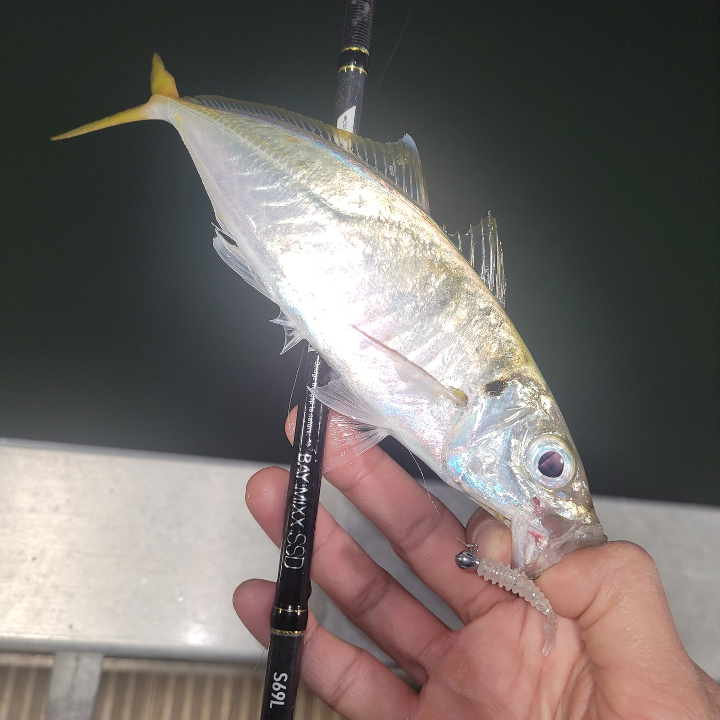 Superse Finner 1.9" Aji Worm SA005
