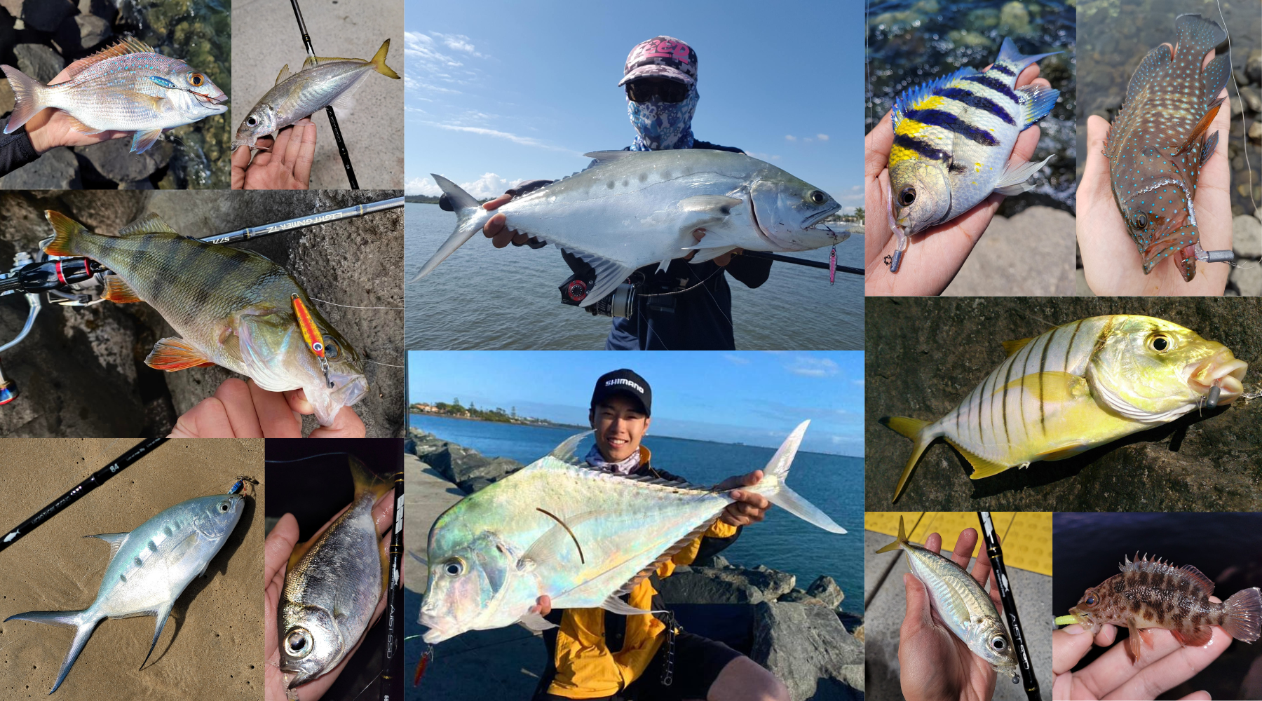 Ultralight Fishing Tackle